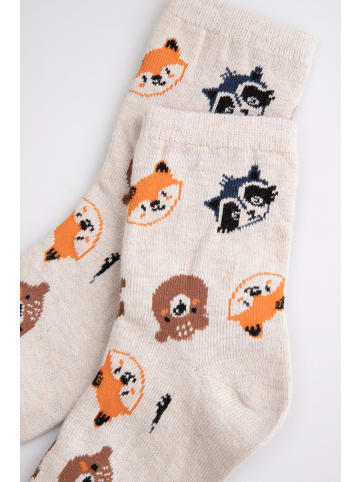 Coccodrillo Socken in bunt