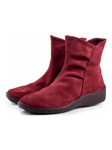 ARCOPEDICO Stiefelette in Bordeaux