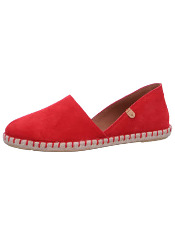 Verbenas Slipper Carmen in Rot