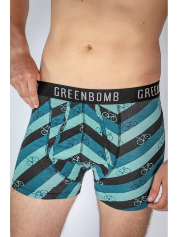 GreenBomb Trunk Bike Stripes in Mix Blau