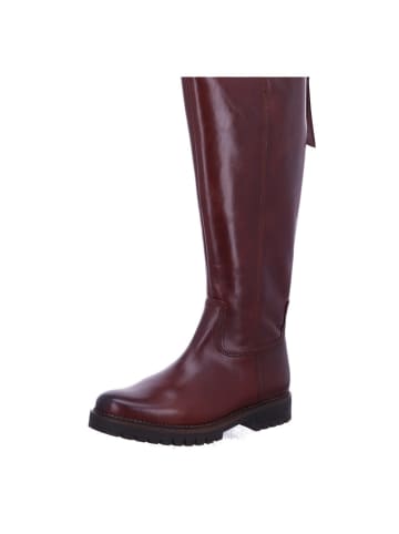 Gabor Schaftstiefel in sattel/EF(Flausch)