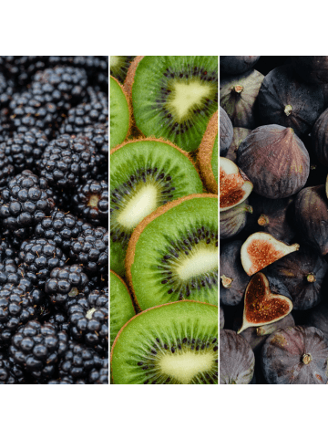 NatureNest Bio Fruchtpflanzen Mix Set 3 süße Sorten