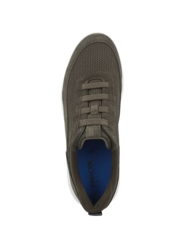 Geox Sneaker low U Spherica B in gruen