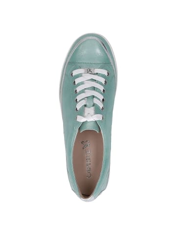 Caprice Sneaker in TURQUOISE NAPL