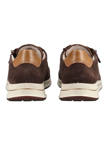 ara Sneaker OSAKA 2.0 in Braun