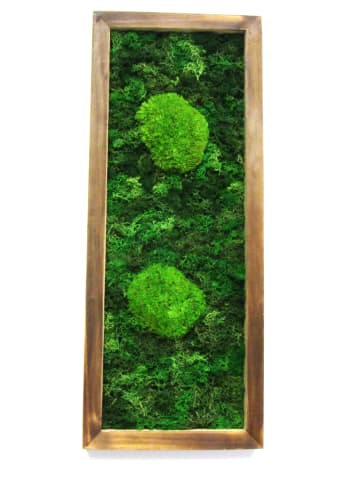 exotic living Moosbild Mango Holz mit konserviertes Moos Bollenmoos 50x20cm