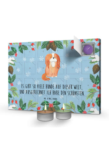 Mr. & Mrs. Panda adventskalender duftkerzen Hund Cavalier King C... in Eisblau