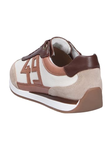 ara Schnürschuh PORTOFINO in braun