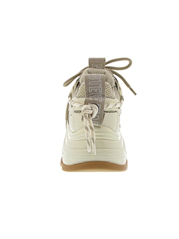 Steve Madden Tazmania Sneaker Beige