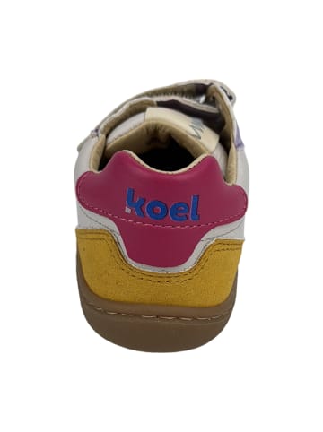 KOEL Klettschuhe in Bunt