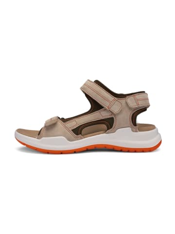 ara Trekkingsandalen in Beige