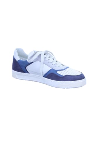 Sioux Sneaker für Herren in kombi
