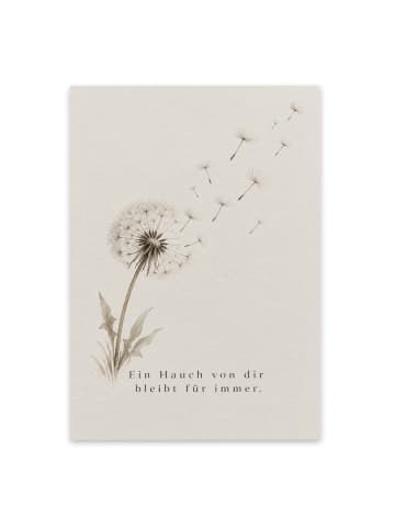 Beileidskarte Pusteblume minimalistisch Design ... in Weiß