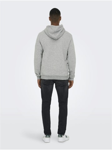 Only&Sons Sweatshirt in hellgrau1