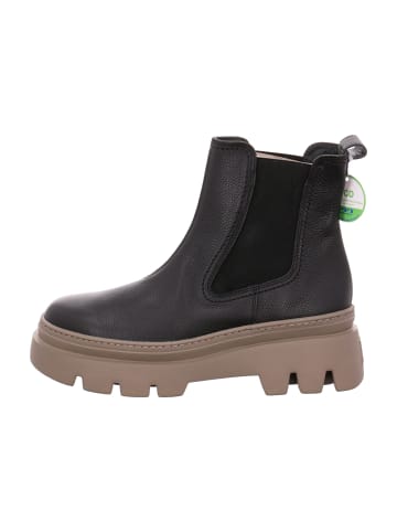 Paul Green Boots in Oliv