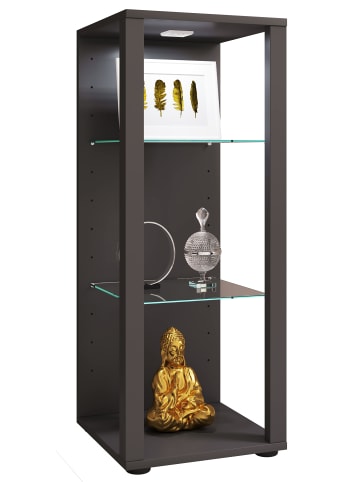 VCM  Holz Glas Stand Vitrine Sammelvitrine Glasol M in Anthrazit
