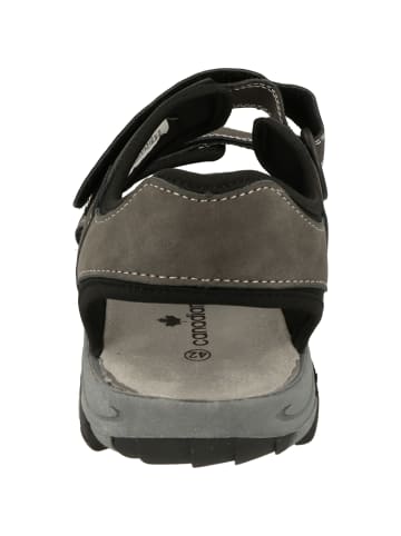 Jane Klain für in grau