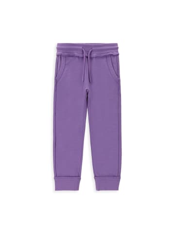 Coccodrillo Sporthose  in violett