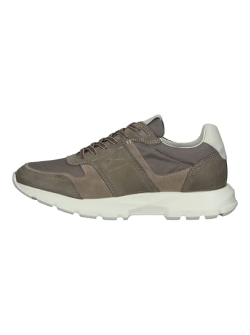 BRAX  Sneaker in Taupe