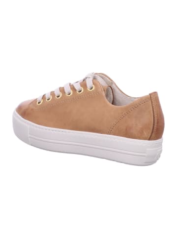 Paul Green Sneaker in braun