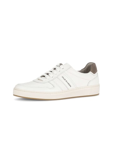 Pius Gabor Sneaker low in weiß