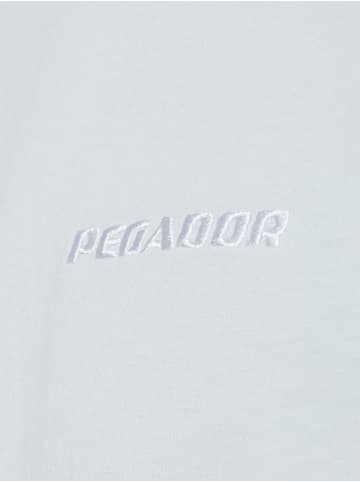 PEGADOR T-Shirt Logo in hellblau