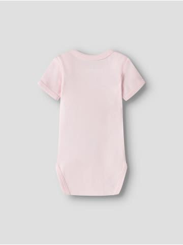 name it Strampler in Carinaria