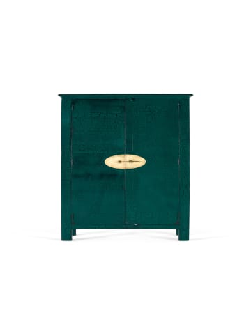 Giner y Colomer Handgefertigter 2-türiger Kleiderschrank aus Mangoholz in Green