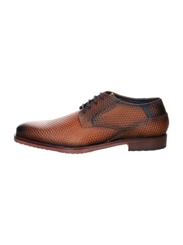 Bugatti Business Schnürschuhe in Braun
