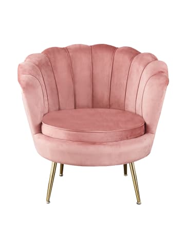 SalesFever Loungesessel im Muscheldesign Chromgestell in Goldoptik & Samtbezug in Rose