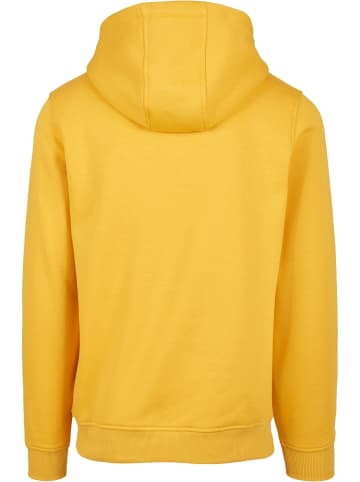 STARTER STARTER Kapuzenpullover in golden