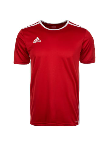 adidas Performance Fußballtrikot Entrada 18 in rot / weiß