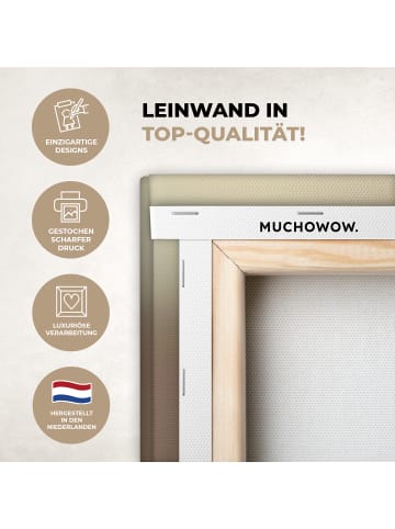 MuchoWow Leinwand bilder Nahaufnahme Flaum (BxH)