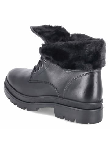 Fräulein Frida Schnürstiefel in schwarz