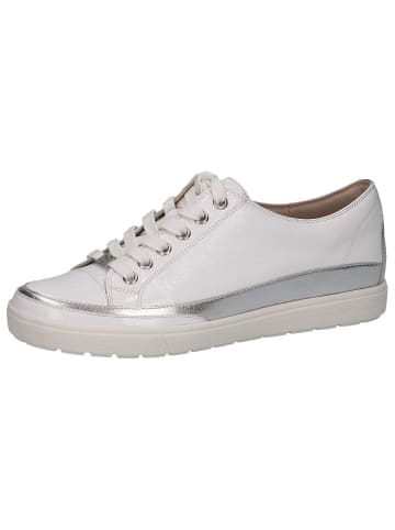 Caprice Sneaker in WHITE COMB