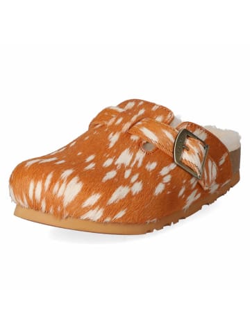 Australia Luxe Collective Clogs BERLIN in braun