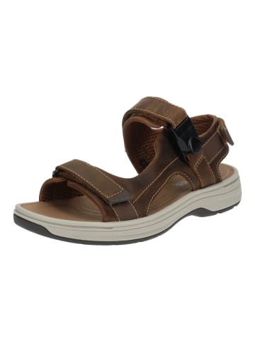 Clarks Sandalen in Tan