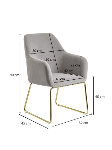 FineBuy Esszimmerstuhl "SV58824" in Grau / Hellgrau