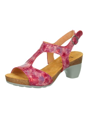 Think! Pumps TRAUDI in Hibiskus