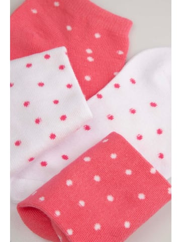 Coccodrillo Socken in bunt