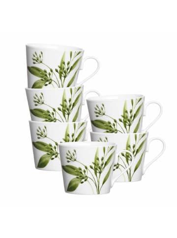 Ritzenhoff & Breker 6er Set Kaffeetassen Evora 200 ml in weiß-grün