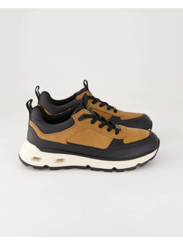 SALAMANDER Sneaker low in Braun