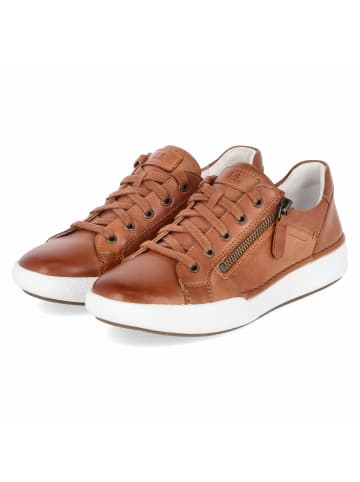 Josef Seibel Halbschuhe CLAIRE 03 in braun