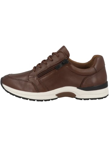 Caprice Sneaker low 9-23755-29 in braun