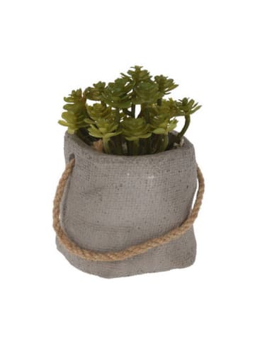 Home&Styling Collection Kunstpflanze in grau