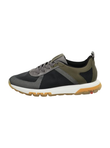 LLOYD Sneaker Low in Grün