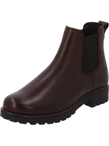 palado Chelsea Boots in dk brown
