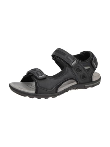 Geox Trekkingsandalen in Schwarz