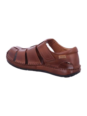 Pikolinos Slipper in braun