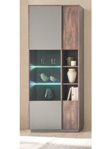 Furn.Design Vitrine Piano in Eiche und grau 80 x 200 cm